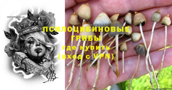 молекула духа Козловка