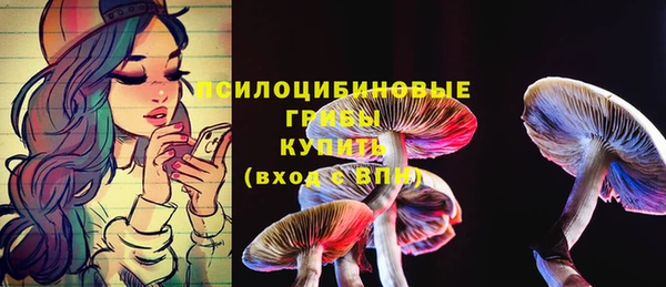молекула духа Козловка