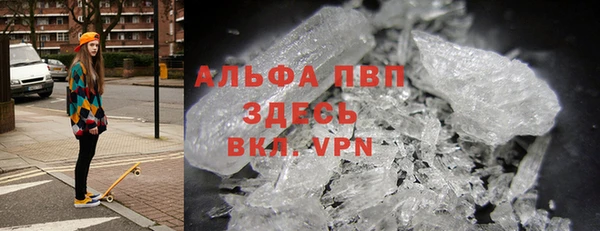 молекула духа Козловка