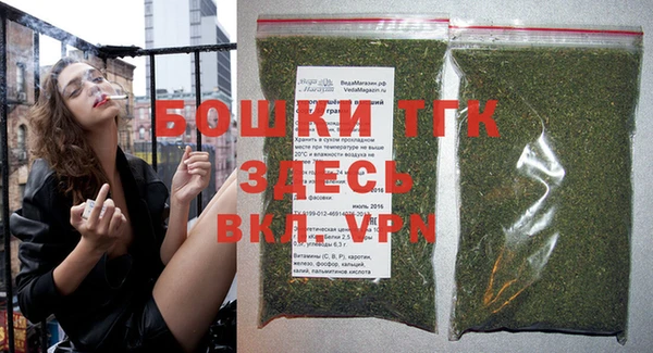 молекула духа Козловка