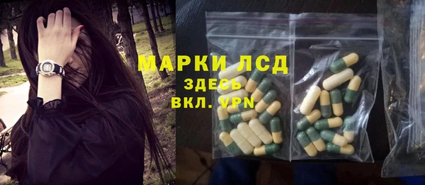 ешки Новодвинск