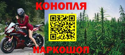 спиды Краснознаменск