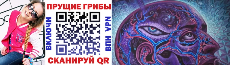 Галлюциногенные грибы Magic Shrooms mega зеркало Чайковский