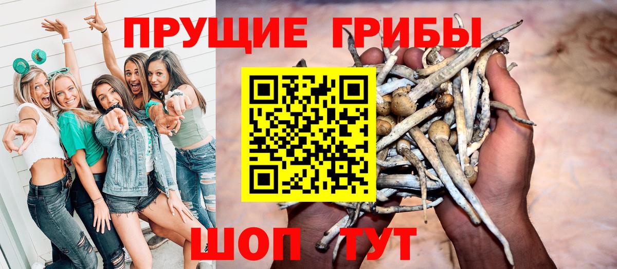 Чайковский  Псилоцибиновые грибы MAGIC MUSHROOMS  Псилоцибиновые грибы Magic Shrooms  Вход с VPN 