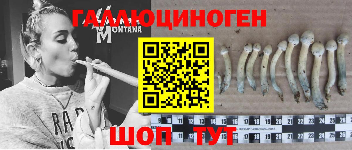 Псилоцибиновые грибы Magic Shrooms Чайковский