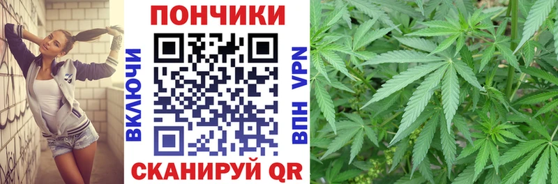 сколько стоит  Чайковский  mega как зайти  Каннабис Bruce Banner 